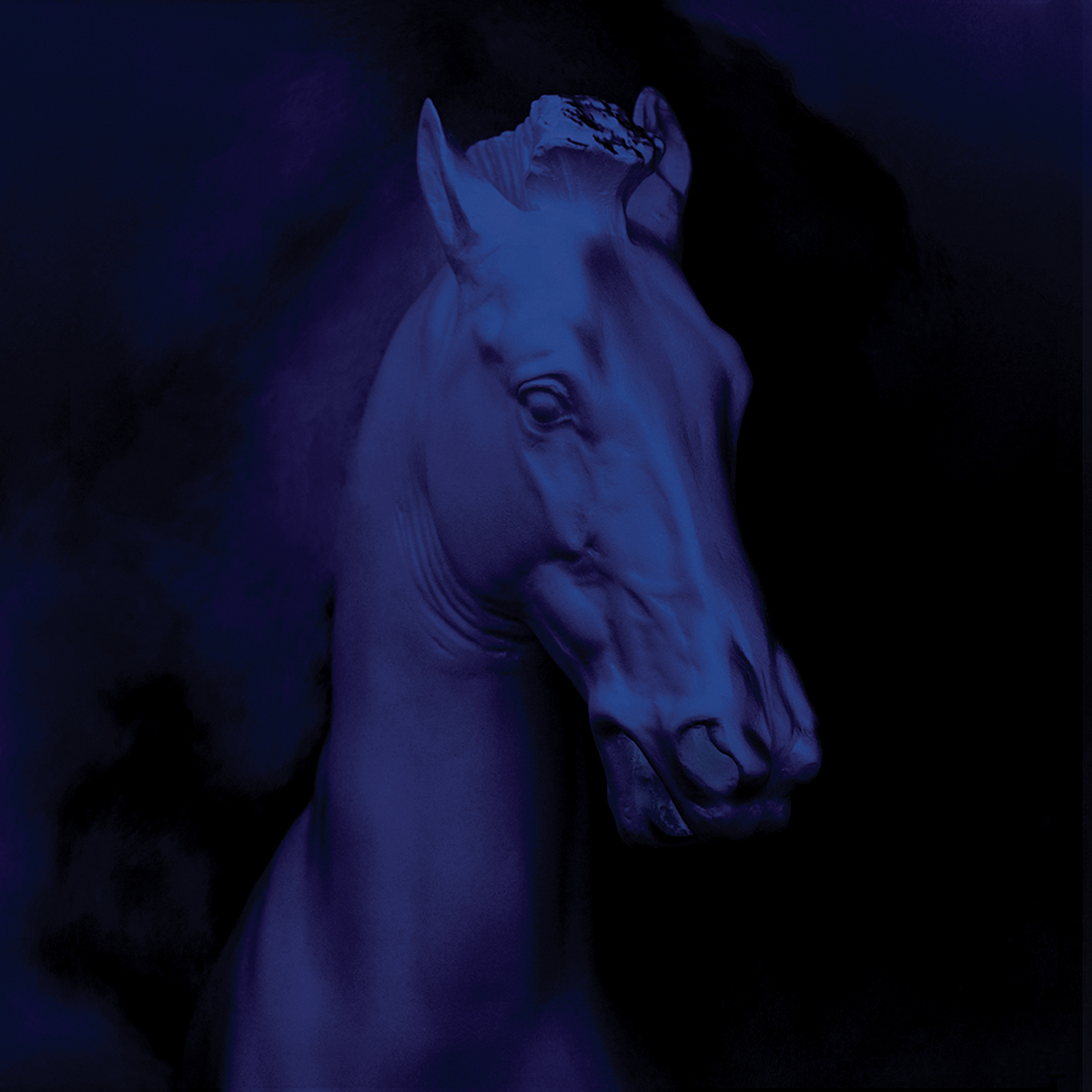 Pegasus. 2004. Louise Clifton. Digital photograph(Cover of The Phoenix Foundation album Pegasus)
