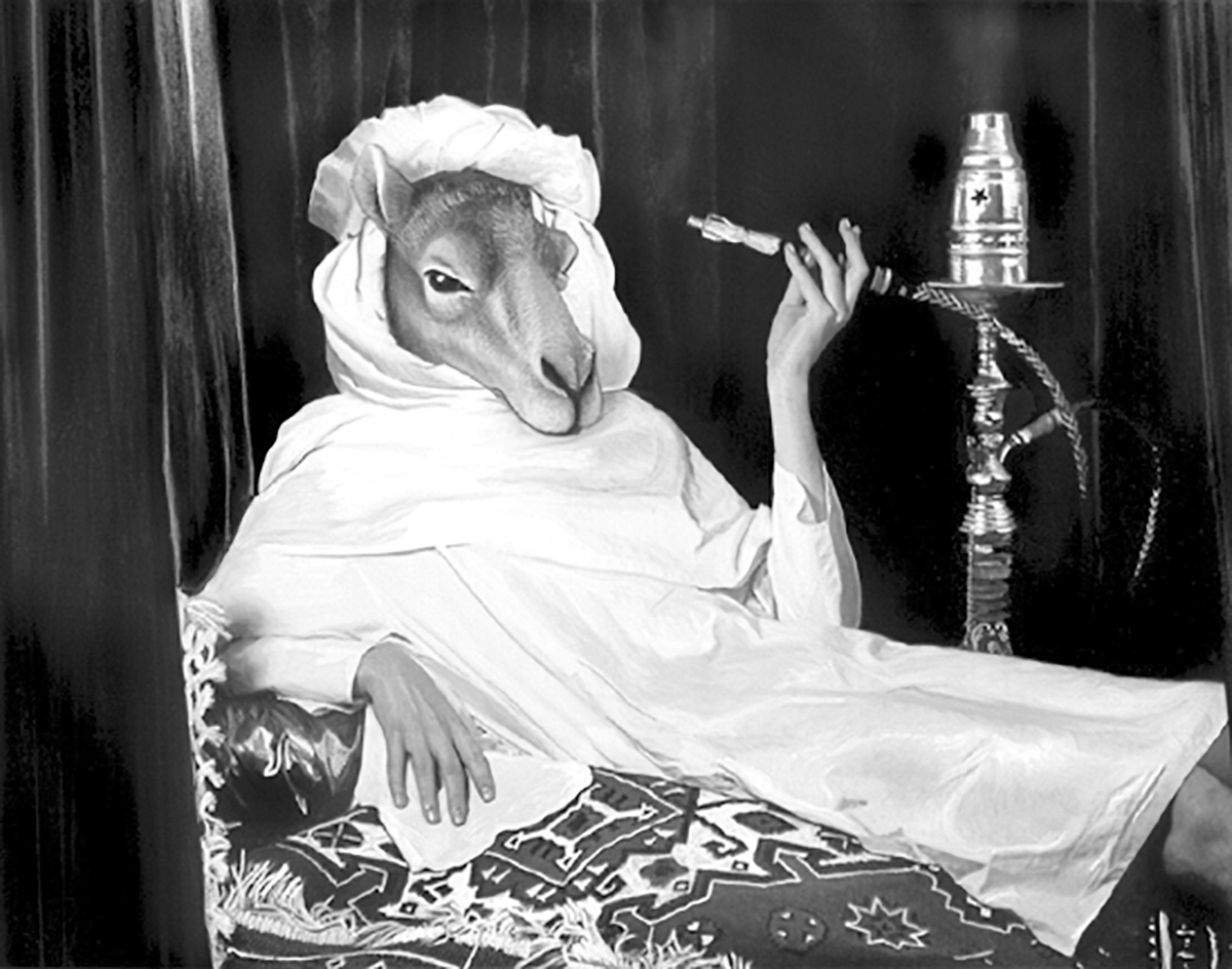 Back cover of Lawrence Arabia album Lawrence Arabia2005Hand-painted photograph/digital montage by Louise Clifton