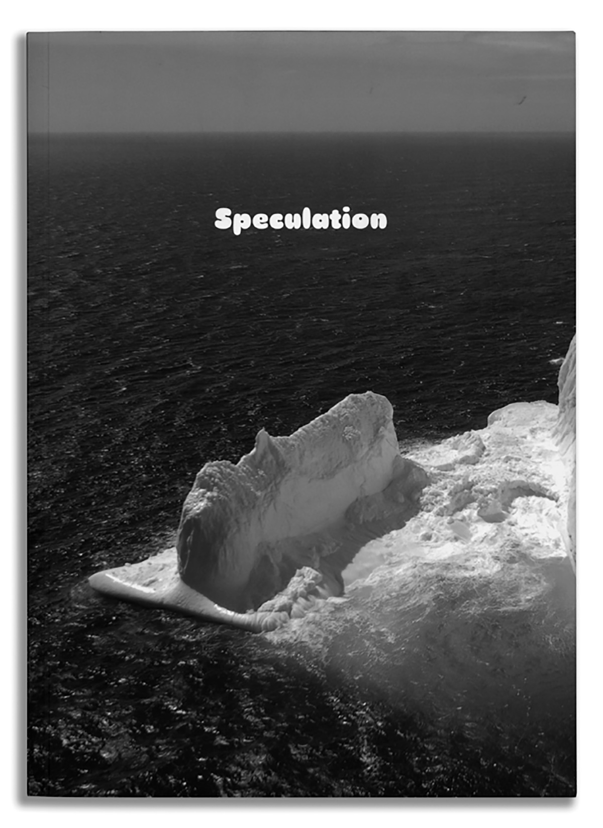 Speculation, published by Venice Project and JRP Ringier,2007. Edited by Brian Butler, sub-edited by Gwyn Porter,designed by Warren Olds.