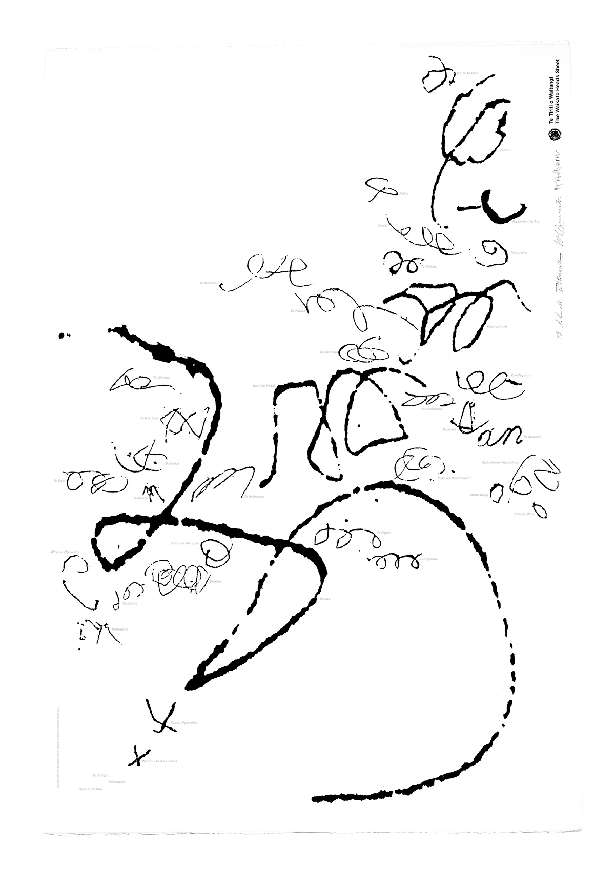 'The Waikato Heads Sheet'